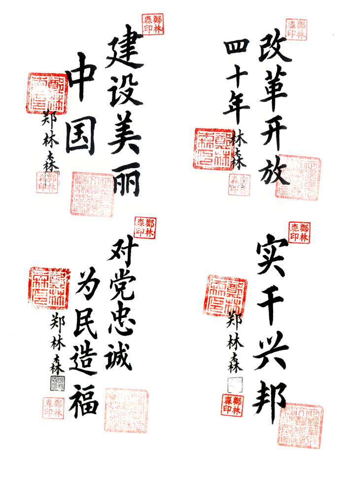郑林森老师作品 九