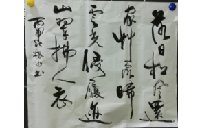 徐根水老师作品 十三