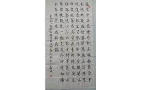 张金良老师作品 一