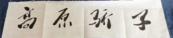 杨志伟老师作品 六