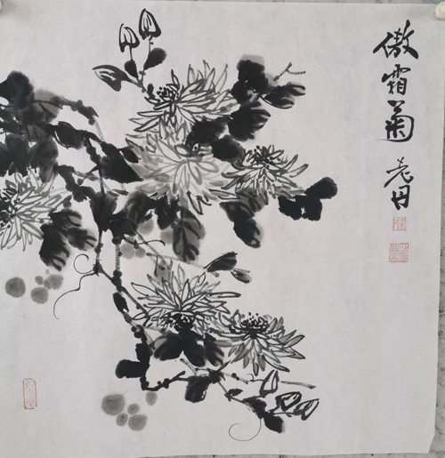 孟丹老师作品 二