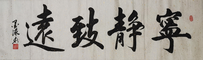 陈维群老师作品 十