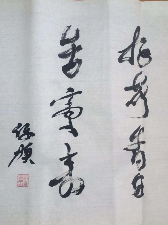 龙保顺老师作品 一